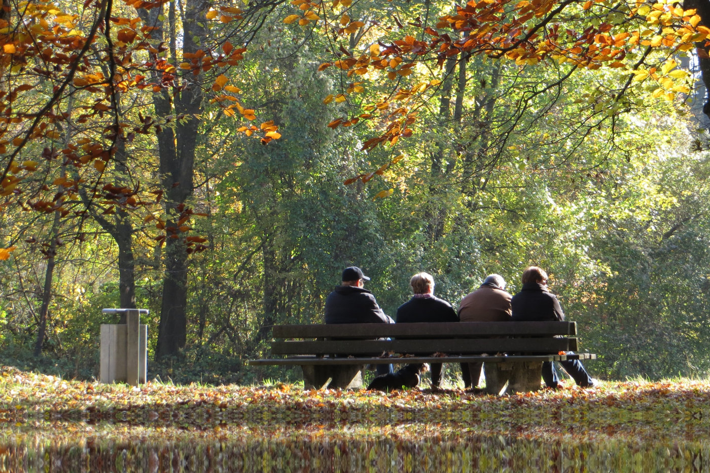 Seniors in autumn forest.